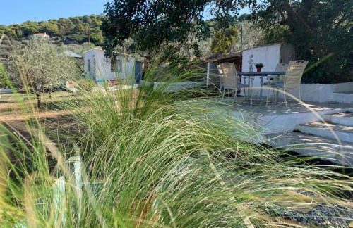 Olive Hill Private House - Foto 26