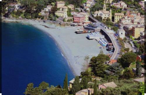 L' eden di Erasmo - Foto 57