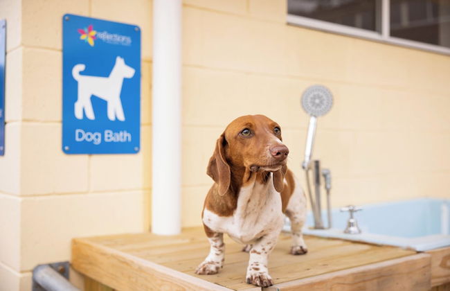 Reflections Tuncurry - Holiday Park - Foto 78