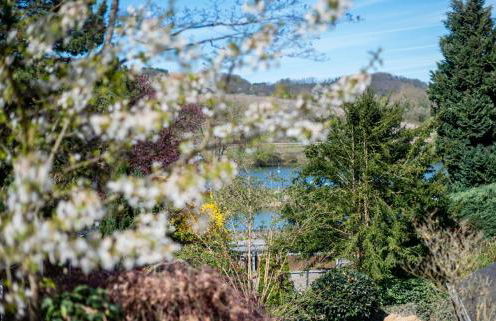 Villa Ardoise direkt an der Mosel zwischen Cochem und Koblenz - Foto 21