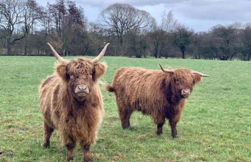 Dein Haus am Meer mit Sauna - Photo 27