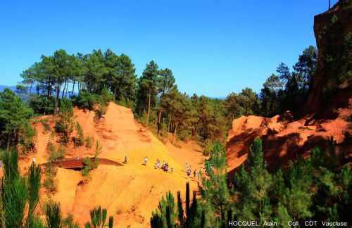 Les Terrasses - Gordes - Photo 77