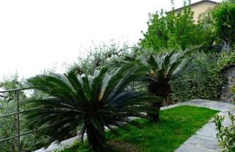 Villa Olivia Residence by PortofinoVacanze - Foto 68