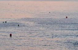 HOUSE SAL Y MAR - Foto 2