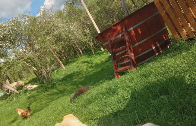 Room in Guest Room - Idylic Family Sejour With Hottube in Green Land - Photo 13