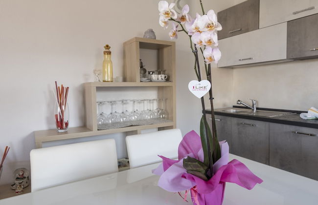 Aria di Vacanza - Sìabba Lughente Primo COD 17 - Photo 2