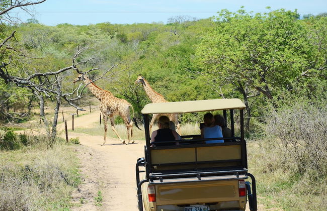 Pezulu Tree House Lodge - Foto 57