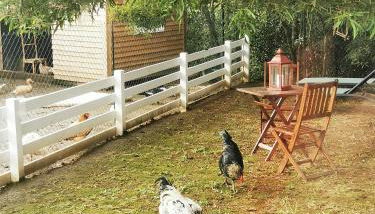 Heaven - Photo 5, Garden