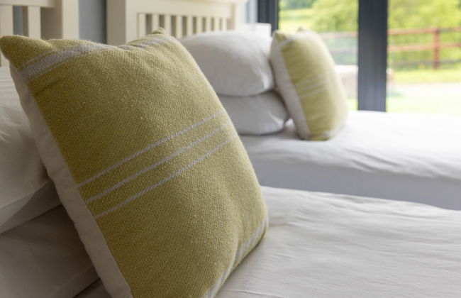 Welsh Marches at Upper Glyn Farm - Foto 10