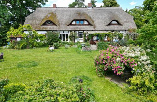 Pfarrhaus Tollensesee - Foto 11