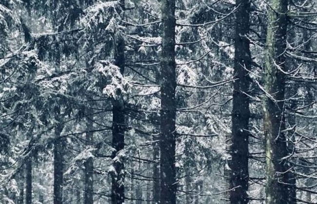 Panoramic View of Lake Harz - Photo 18