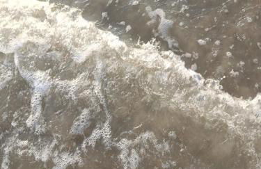 Casa Verde da Ari - Foto 8