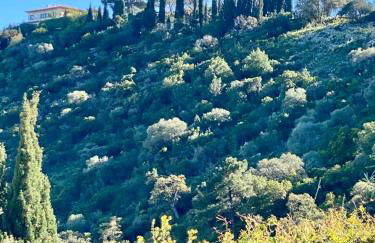 Villa BaieVue - Foto 7