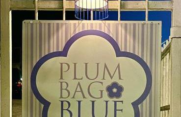 plumbago blue - Foto 23