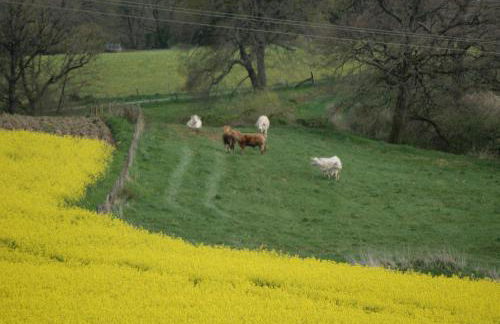 Gites à la Loub - Photo 8