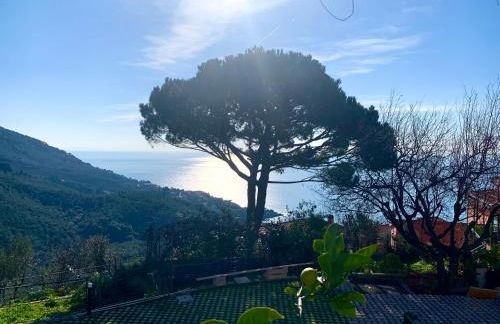 Casa Møjn - Photo 25