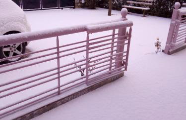 Village perfume - Photo 62