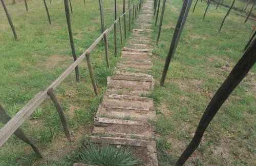 Kuća za odmor Prinčeva oaza - Foto 23