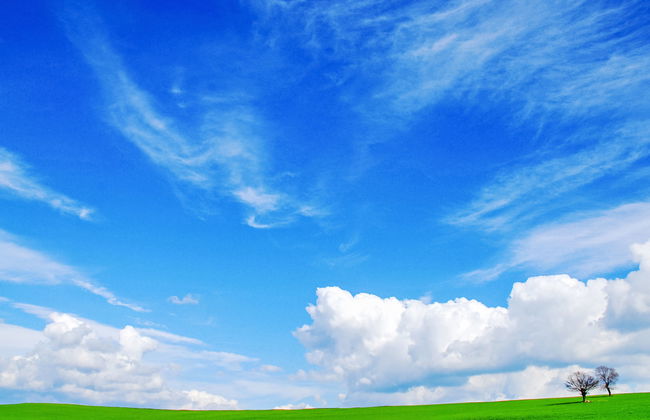 Sweet Maremma - Foto 17