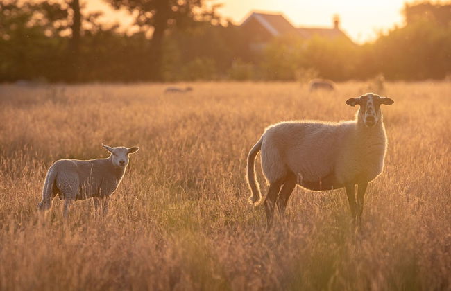 Lodge by Dutch Meadows With Scenic Veranda - Photo 34