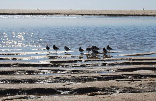 Lagoa House Albufeira - Foto 11