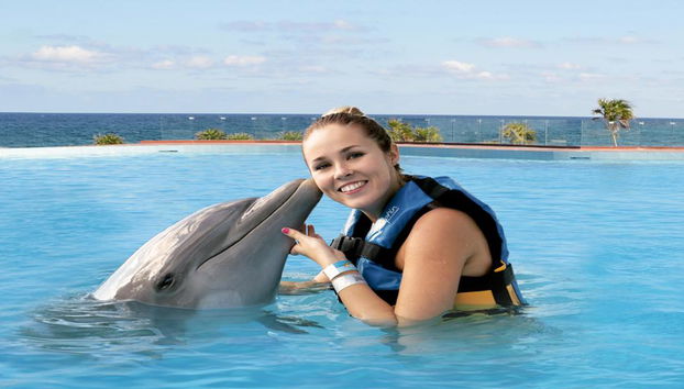 Encuentro con delfines en el Grand Sirenis Akumal - Tulum - Foto 4