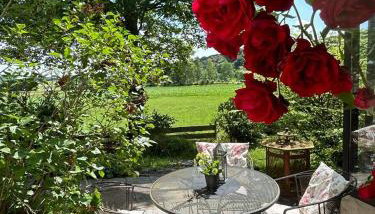 Ferienwohnung An der Loipe - Photo 5, Garden