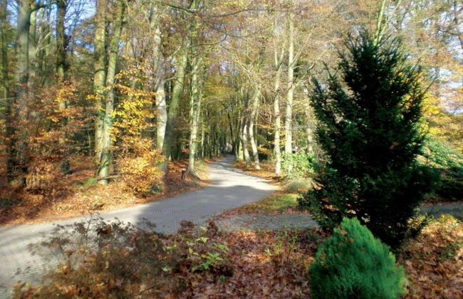 Modern Chalet With Nice Sliding Doors Near Lochem - Foto 34