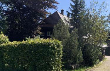 Altes Forsthaus Kniebis | Ski | Nachtloipe | eingezäunt - Foto 24