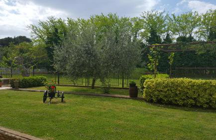 Apartment Lucas - Foto 23