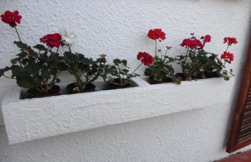 Casa de Praia - Foto 12