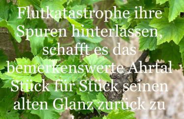 Apartment Altstadtflair - Foto 30