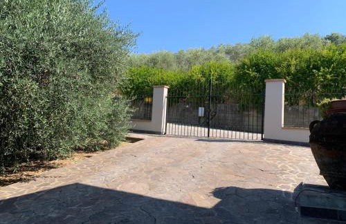 Casa la Buriana - Foto 15