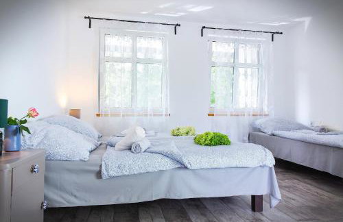 Wrzosowy Młyn - Twoje miejsce nad Jeziorem - Foto 1