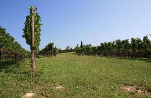 Maso Di Villa Relais di Campagna - Foto 38