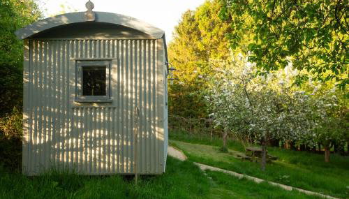 The Organic Cotswolds Shepherds Hut - Foto 3