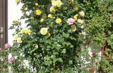 Ferienwohnung Central Bad Steben - Foto 18