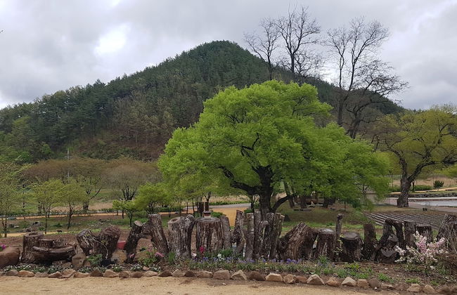 Moonlight House - Photo 12