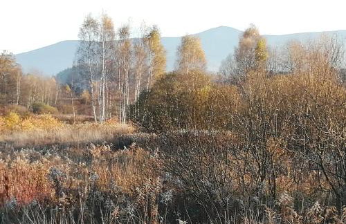 Apartament Zielone Wzgórze 2 - Foto 75