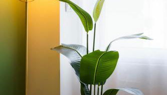 Green Universe Porto by MyMoradia - Foto 3