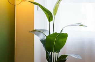 Green Universe Porto by MyMoradia - Foto 3