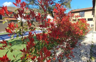 Le 1881 Ampuis - Foto 46