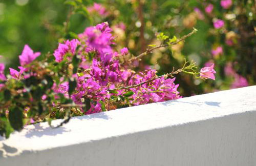 Nikoleta's Studios - Photo 27