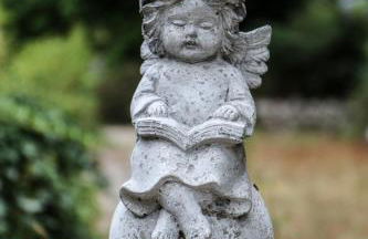 domaine des tilleuls d'or - Foto 35