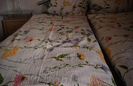 Ferienwohnung am Wald 2 - Foto 7