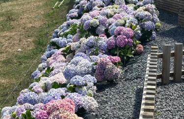 João de Oliveira - casas de campo - Photo 44