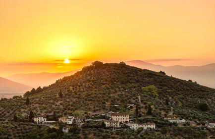 La Solaria - Foto 18