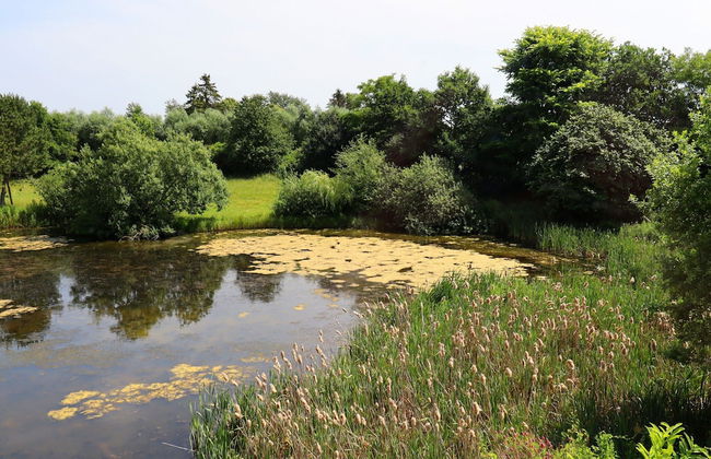 Ferienwohnung Parkblick mit 3 Schlafzimmern - Foto 37