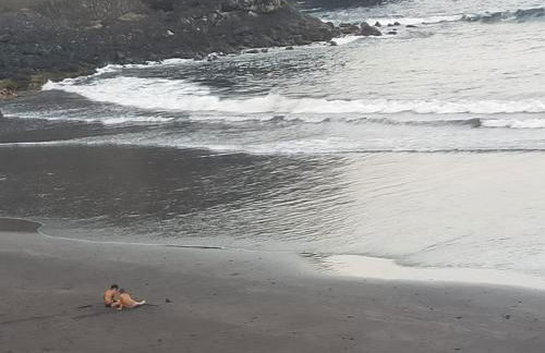 Casa Omaira y Nacho - Foto 70