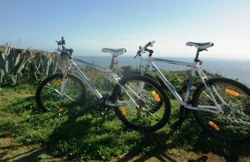 Casa Marques - Photo 25